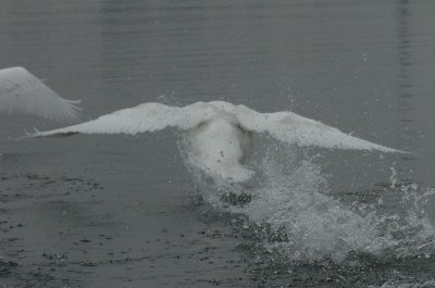Mar30_07_672.JPG