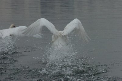 Mar30_07_673.JPG