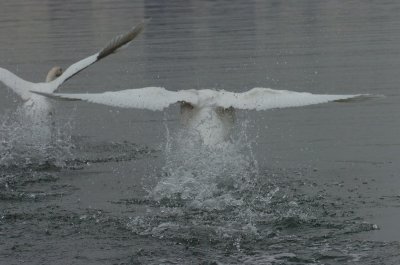 Mar30_07_674.JPG