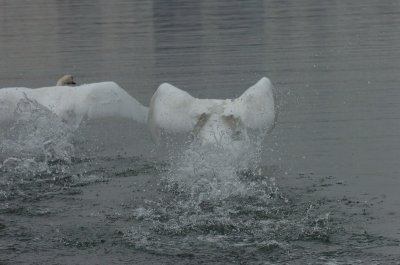 Mar30_07_675.JPG