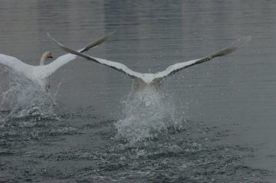 Mar30_07_676.JPG