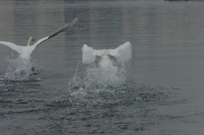 Mar30_07_679.JPG