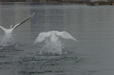 Mar30_07_681.JPG