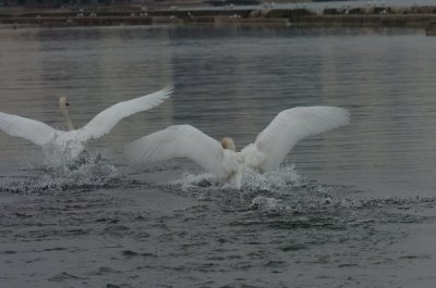 Mar30_07_687.JPG