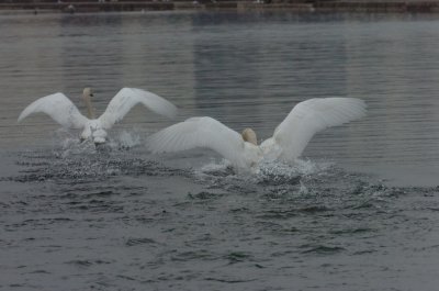 Mar30_07_688.JPG