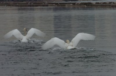 Mar30_07_691.JPG