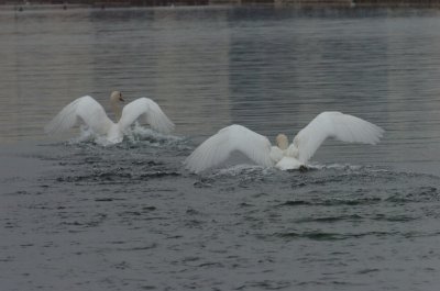 Mar30_07_692.JPG