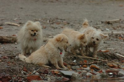 Mar30_07_431.JPG