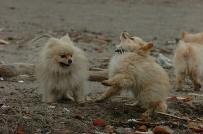 Mar30_07_434.JPG