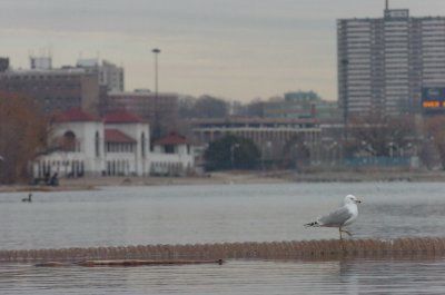 Mar30_07_446.JPG