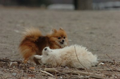 Mar30_07_451.JPG