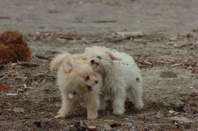 Mar30_07_300.JPG