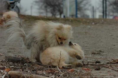 Mar30_07_312.JPG