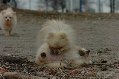 Mar30_07_313.JPG