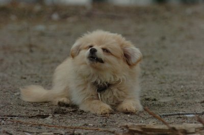 Mar30_07_329.JPG