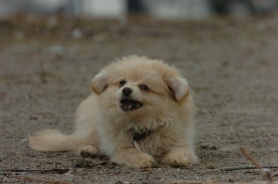 Mar30_07_334.JPG