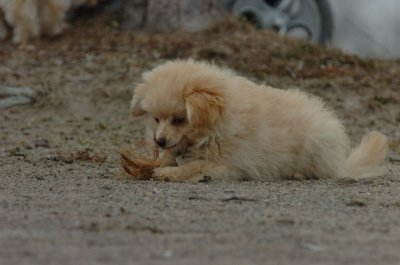 Mar30_07_338.JPG
