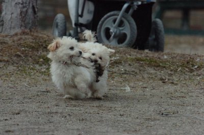 Mar30_07_145.JPG