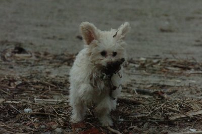 Mar30_07_149.JPG