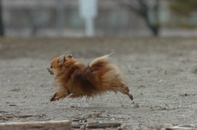 Mar30_07_161.JPG