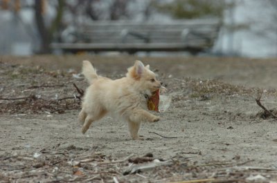 Mar30_07_169.JPG