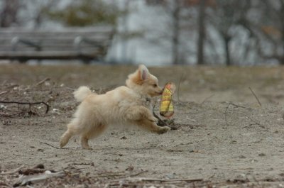 Mar30_07_170.JPG