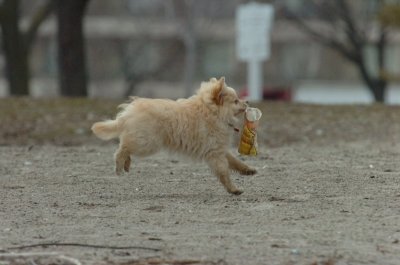 Mar30_07_176.JPG
