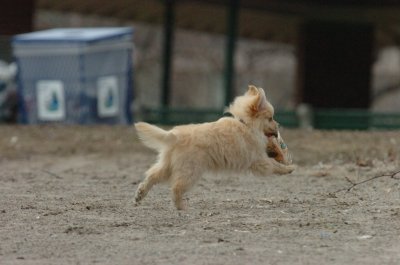 Mar30_07_180.JPG