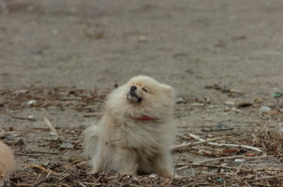 Mar30_07_199.JPG