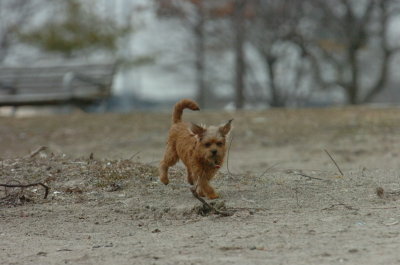 Mar30_07_208.JPG