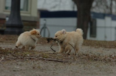 Mar30_07_245.JPG