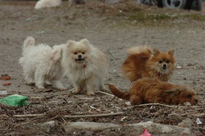 Mar30_07_279.JPG