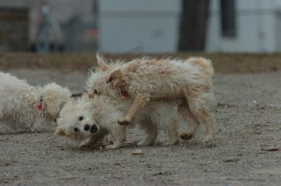 Mar30_07_098.JPG