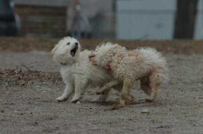 Mar30_07_099.JPG