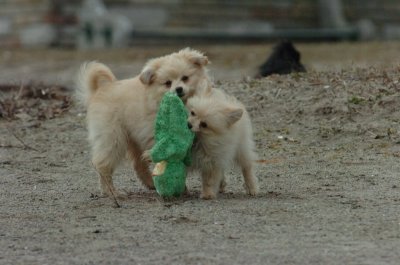 Mar30_07_127.JPG