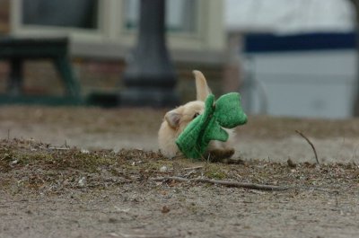 Mar30_07_135.JPG