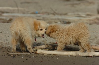 Mar31_07_422.JPG