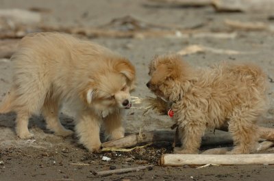 Mar31_07_425.JPG