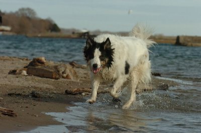 Mar31_07_428.JPG
