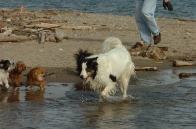 Mar31_07_429.JPG