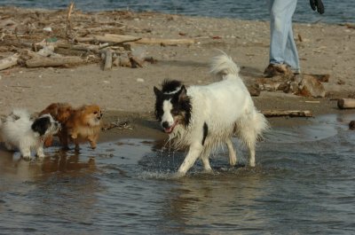 Mar31_07_430.JPG