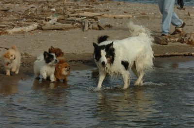 Mar31_07_431.JPG