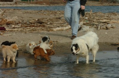 Mar31_07_434.JPG