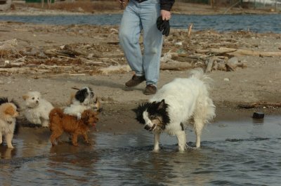 Mar31_07_435.JPG