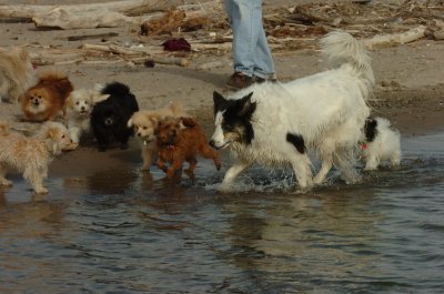 Mar31_07_436.JPG
