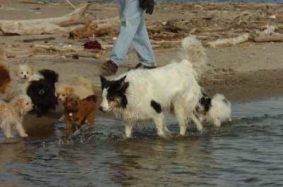 Mar31_07_437.JPG