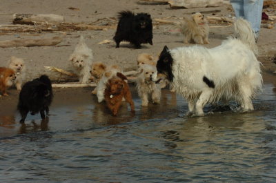 Mar31_07_439.JPG