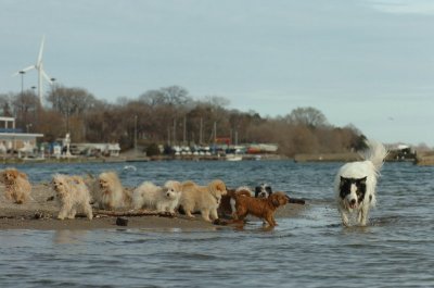 Mar31_07_441.JPG