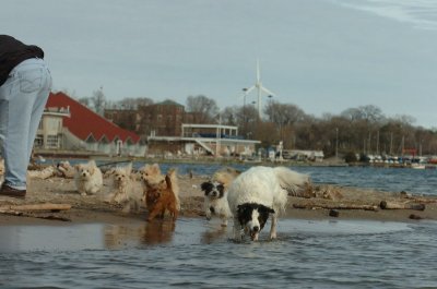 Mar31_07_443.JPG