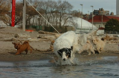 Mar31_07_446.JPG